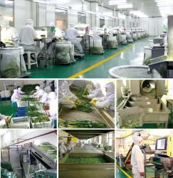China asahi ever international co.,ltd