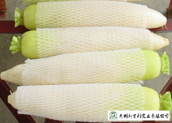 Delicious Fresh White Radish Thin Skin High Moisture Content Easy Storage