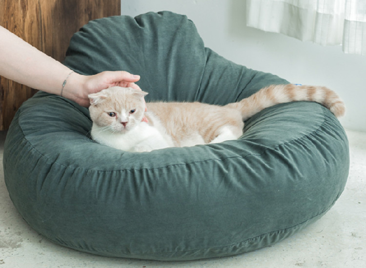 Plush Orthopedic Completely Washable Dog Bed