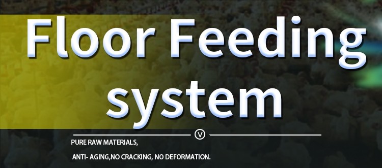 HX Poultry House Feed Pans PP Broiler Poultry Equipment Fully Automatic