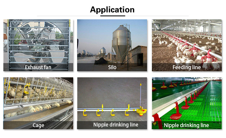 Automatic Feeder Chickens Odm Poultry Feed Line
