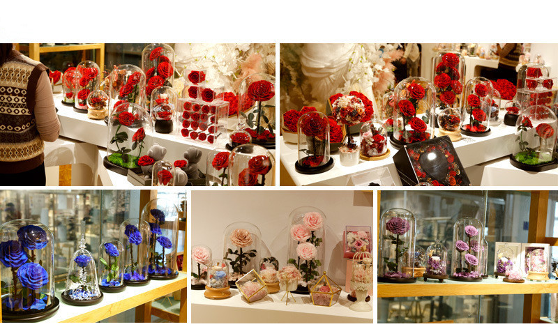 Wholesale Price Rose bear preserved roses in glass dome rose bear for lover
