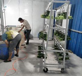 Dongying Shanhai Import &Export Co.,Ltd