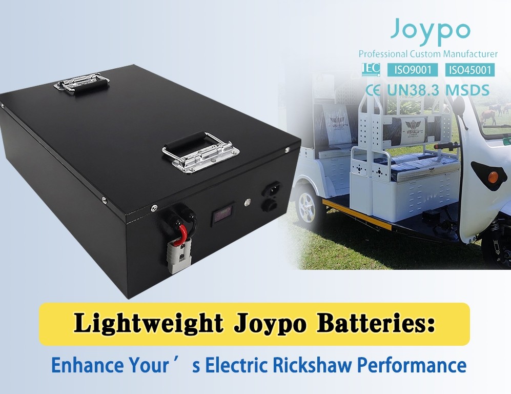 4000 Cycle Life 48V 60Ah LiFePO4 Battery for Auto Rickshaw Light Weight and Safe
