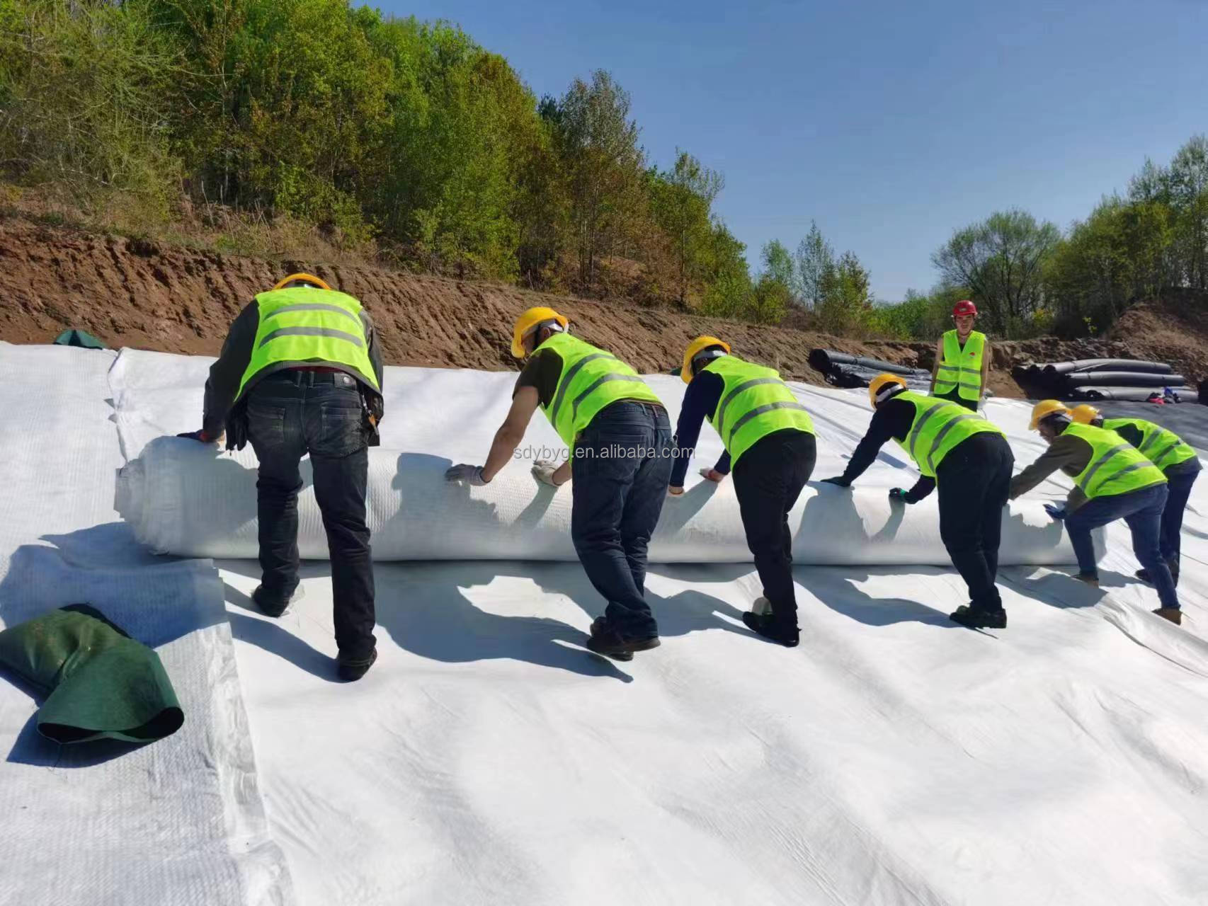 3D Composite Drainage Geonet for Greening System and Other Environmental Projects