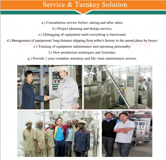 Hot Export small extruder pet feed machine processing line