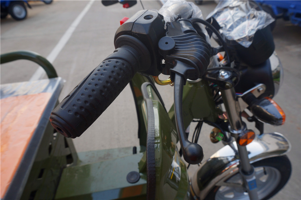 Pedal 1.0m*3.1m 110cc 3 Wheel Trike Moped