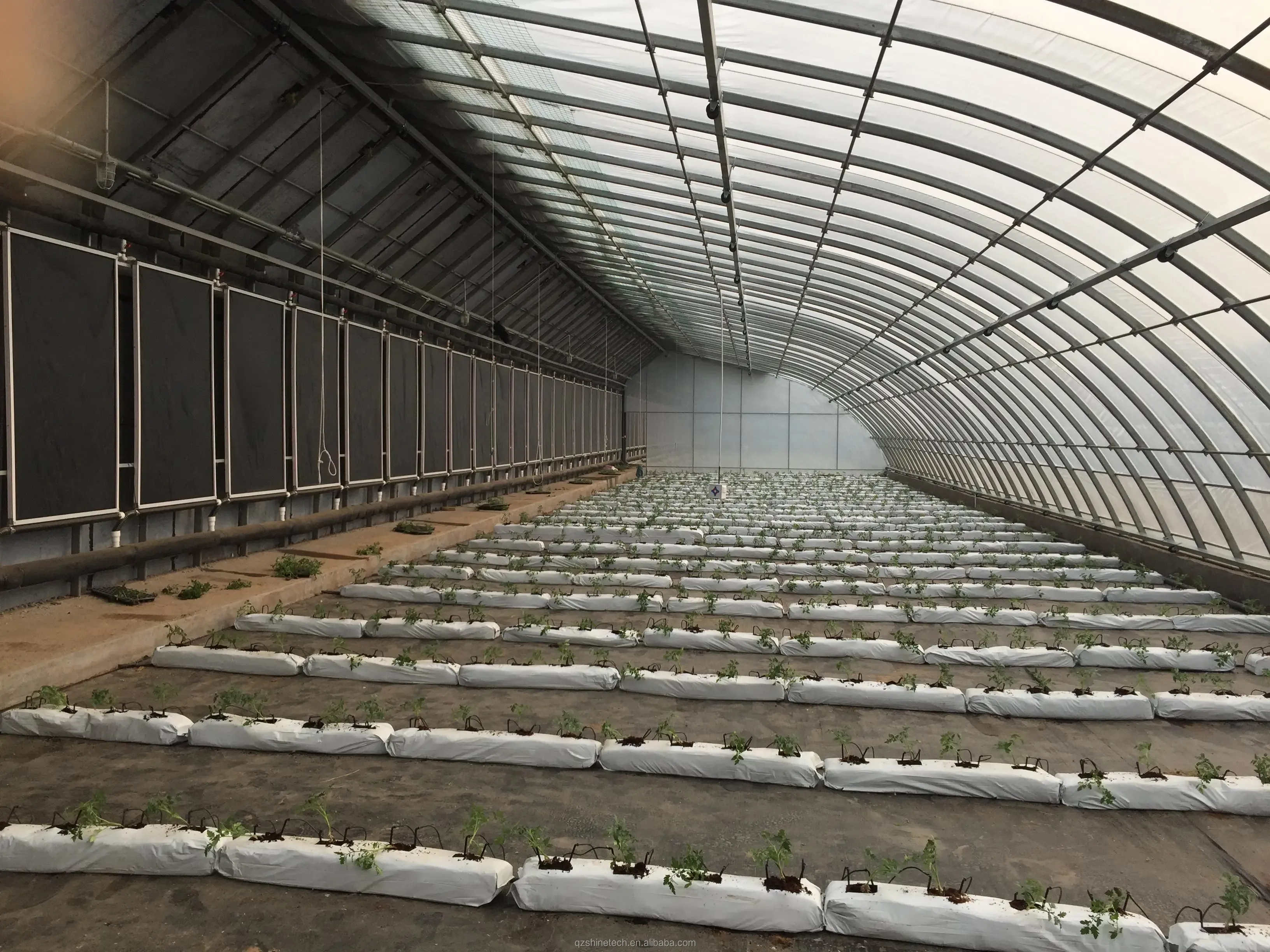 Drawing Solar Greenhouse Kit 4-6M Height With Galvanized Steel Frame