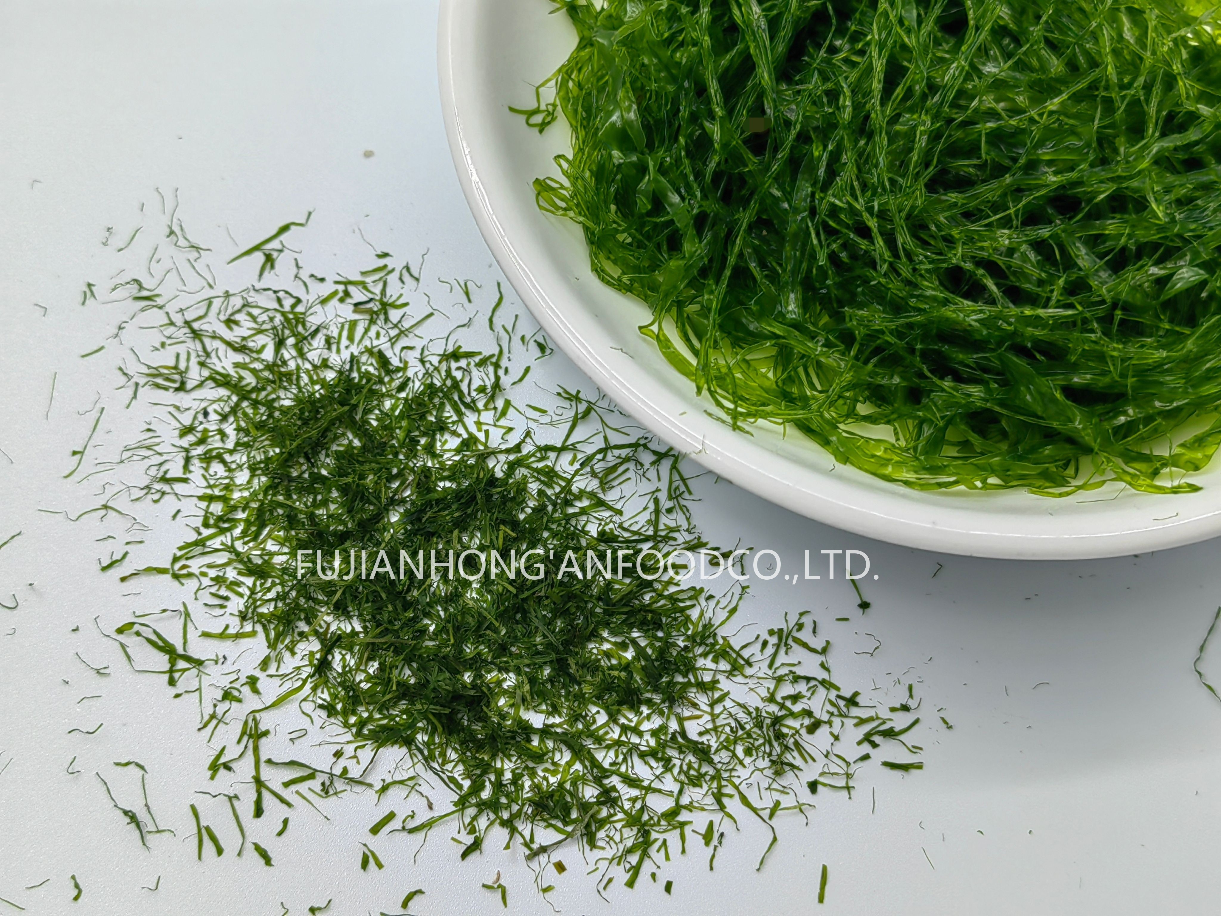 Ocean-Fresh 600g Turquoise Ulva Prolifera Powder as Seasoning Ingredients