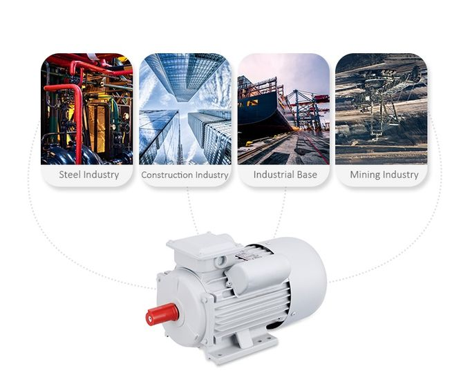 Single phase motor