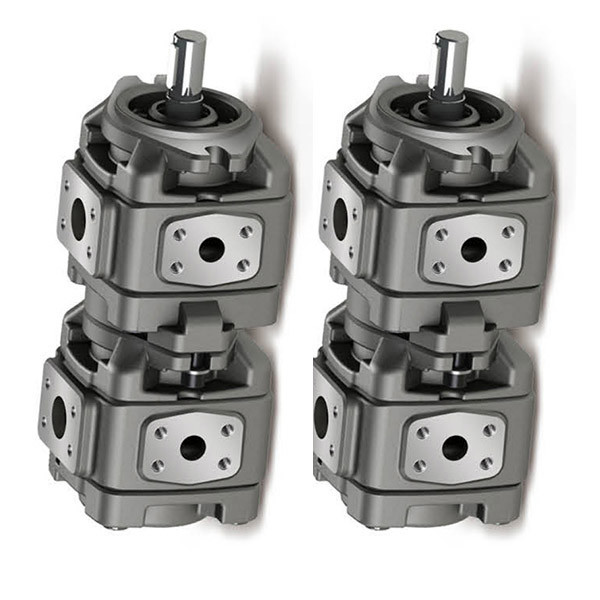 Vickers 5001556-001 Magnetic Gear Pump GD51208A126FCTEFDTLL20IN218