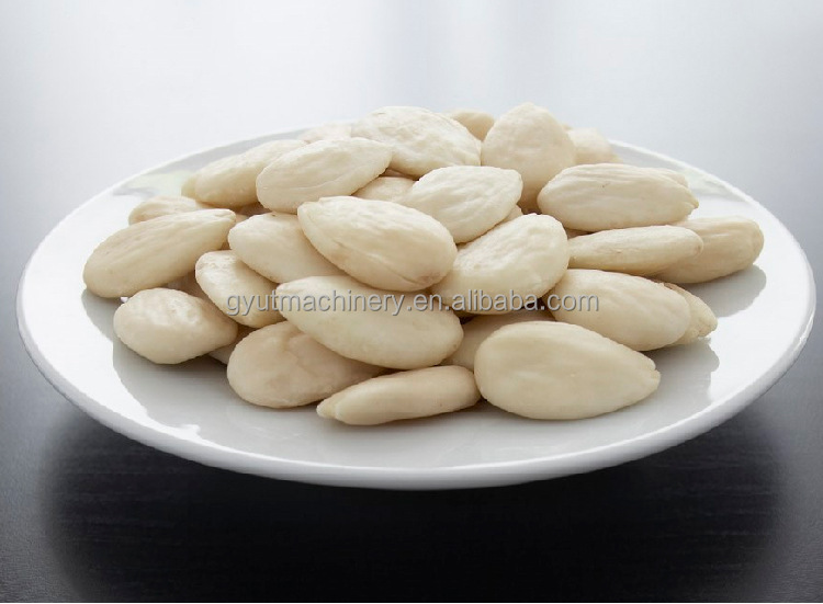 Discount Semi Automatic Cashew Nut Peeling Machine in Silver with 1000X800X770mm Size