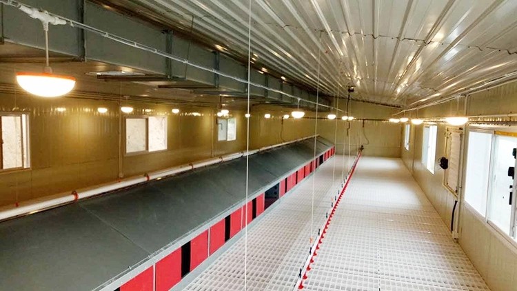 PVC Poultry Farm Equipment