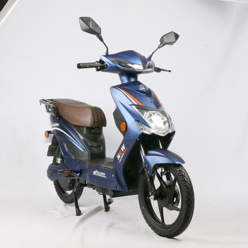 48V 800W High Power Electric Moped Bike EEC Certification For Unisex Riders
