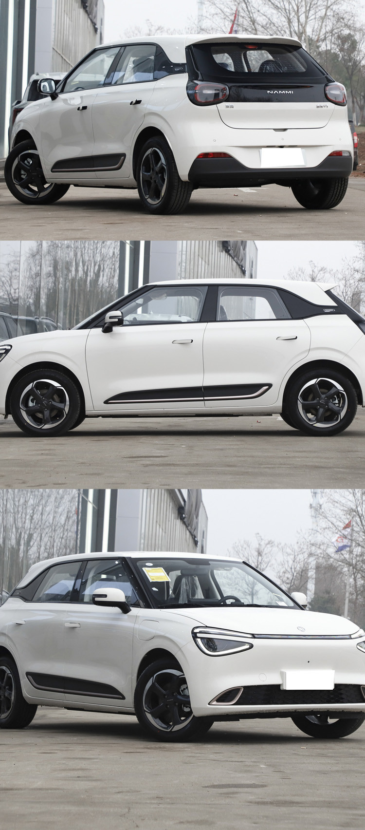 Electirc Dongfeng EX1 Nano Box EV Car Fuel Type Electirc R19 Tire Size