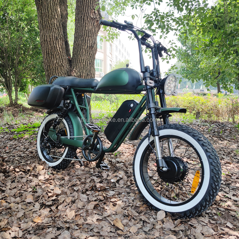 20 Inch Dual Motor Electric Bicycle 7 Speed Full Color Display Fat Tyre Electric Bike