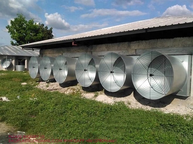Metal Poultry Ventilation System, Wall Exhaust Fans With Louvers , 24 Inch Exhaust Fan With Shutters