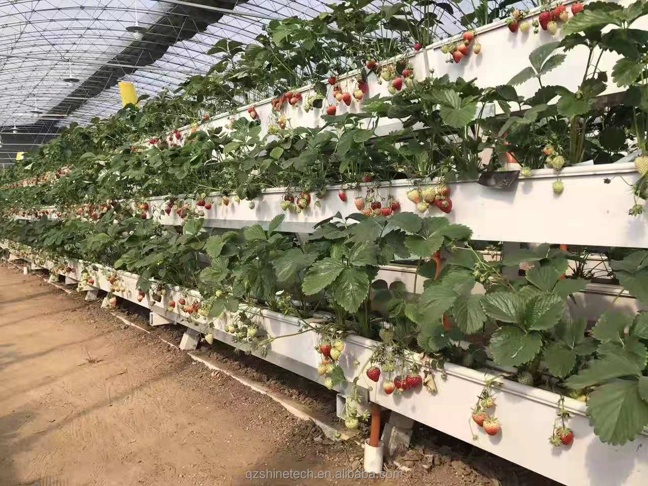 Condition PVC-U Water Pipe for Strawberry Gutter Farming in Hydroponic System
