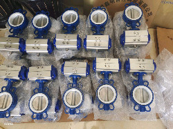 ATEX double action or single action quarter-turn pneumatic rotary actuator