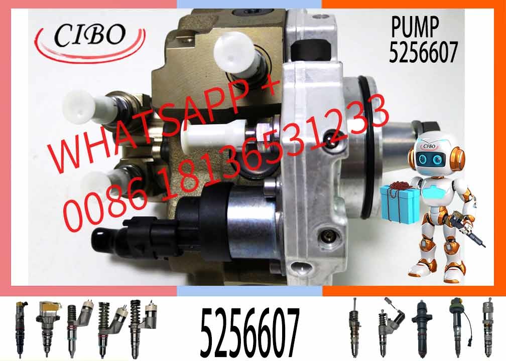 QSF3.8 QSB4.5 QSB6.7 Excavator Spare Parts Fuel Injection Pump 445020122 5256607