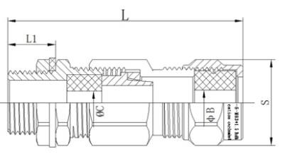 IP66 IP68 ATEX IECEx M20 Cable Gland Explosion Proof