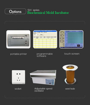 ISO Lab Biological Incubator Constant Temperature Incubator 800L
