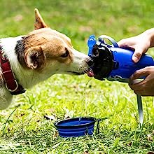 Travel dog bowls 2