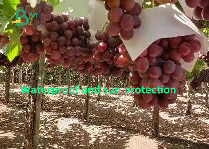 Waterproof Stone Paper 240g 300g For Making Fruit Protection Bag