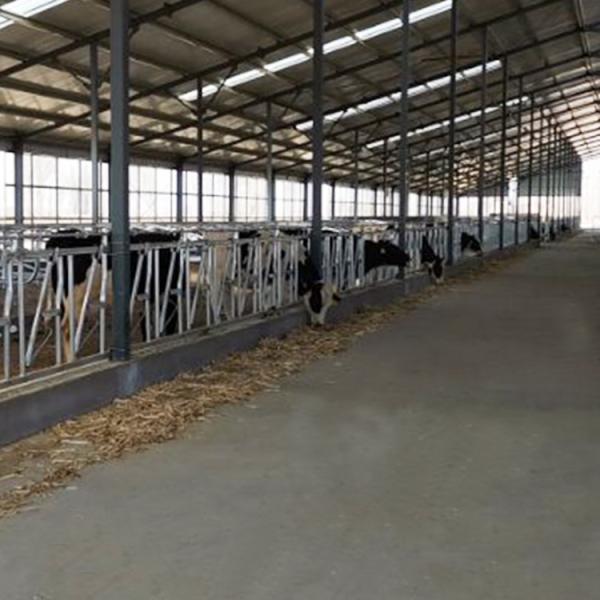 Selflocking Panel Cow Head Lock Cattle Farm Machinery Equipment