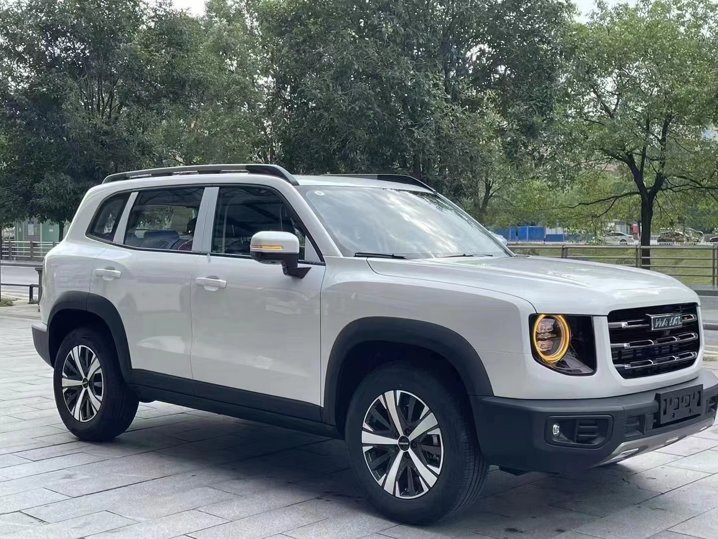Haval Big Dog 2022 2.0T DCT 4WD Chinese Pastoral Dog Version USED SUV