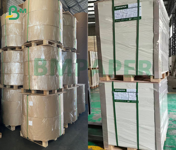 190gsm + 15g PE Cup Paper