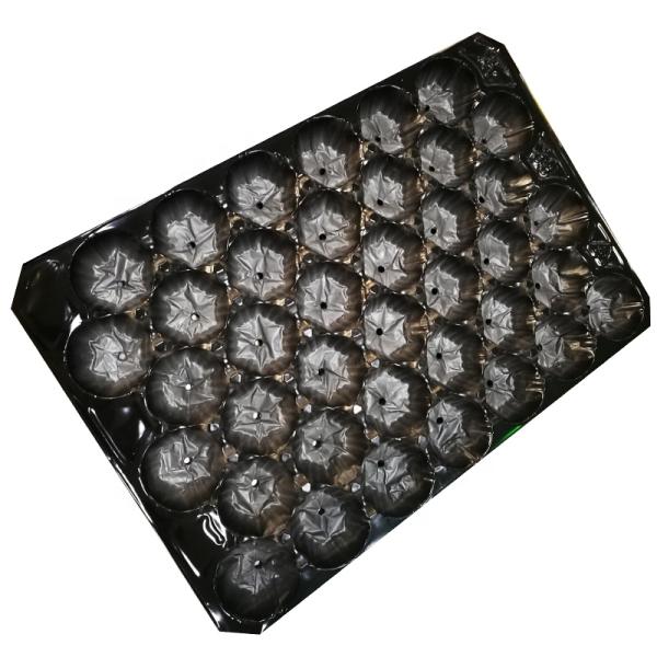 Biodegradable Kraft Pulp Paper Alveoles Inserts for Round Fruit & Vegetable Trays Eco-friendly Alveoles Paper Fruit Tray