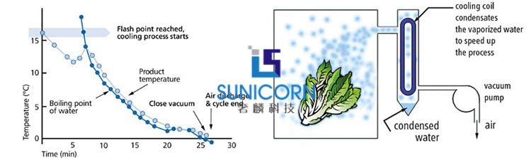 High Speed Vacuum Cooling Machine , Vacuum Cooling Of Fruits And Vegetables