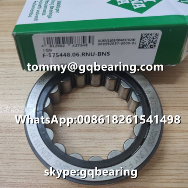 RNU Type Steel Cylindrical Roller Bearing INA F-575448.06