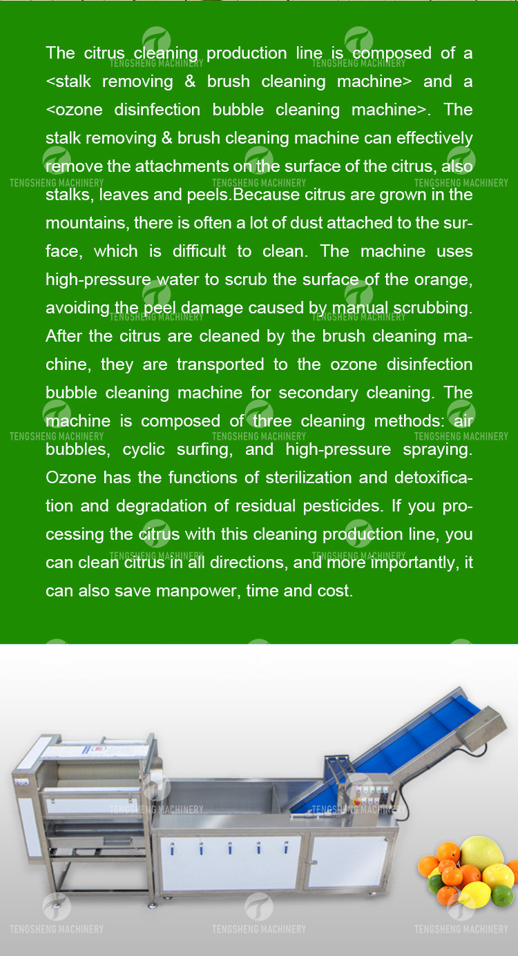 Air Brush Cleansing Citrus Processing Line , Anti Abrasion Sullage Removal Potato Processing Line