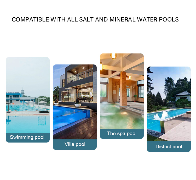 15-45g Chlorine Output Salt Chlorine Generator AUPOOL 2 In 1 For Public Swimming Pool