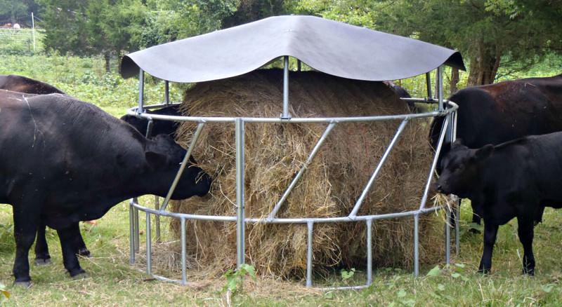 Galvanized Steel Fence Cow Ring Hot Galvanized Livestock Fencing Squeeze Chute Hot Dipped