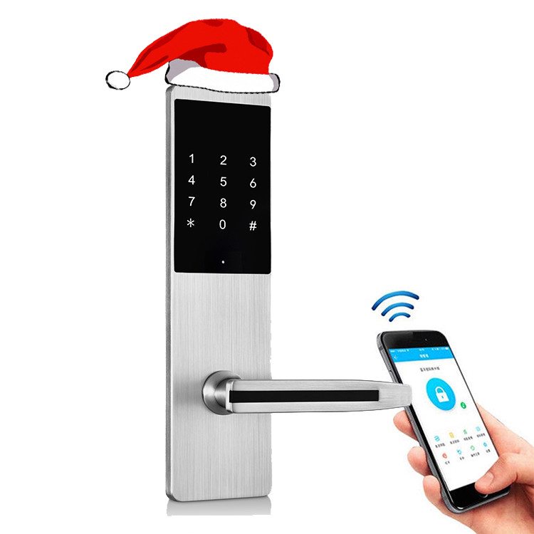 App Electronic Smart Door Lock Digital Password Home Lock Silver