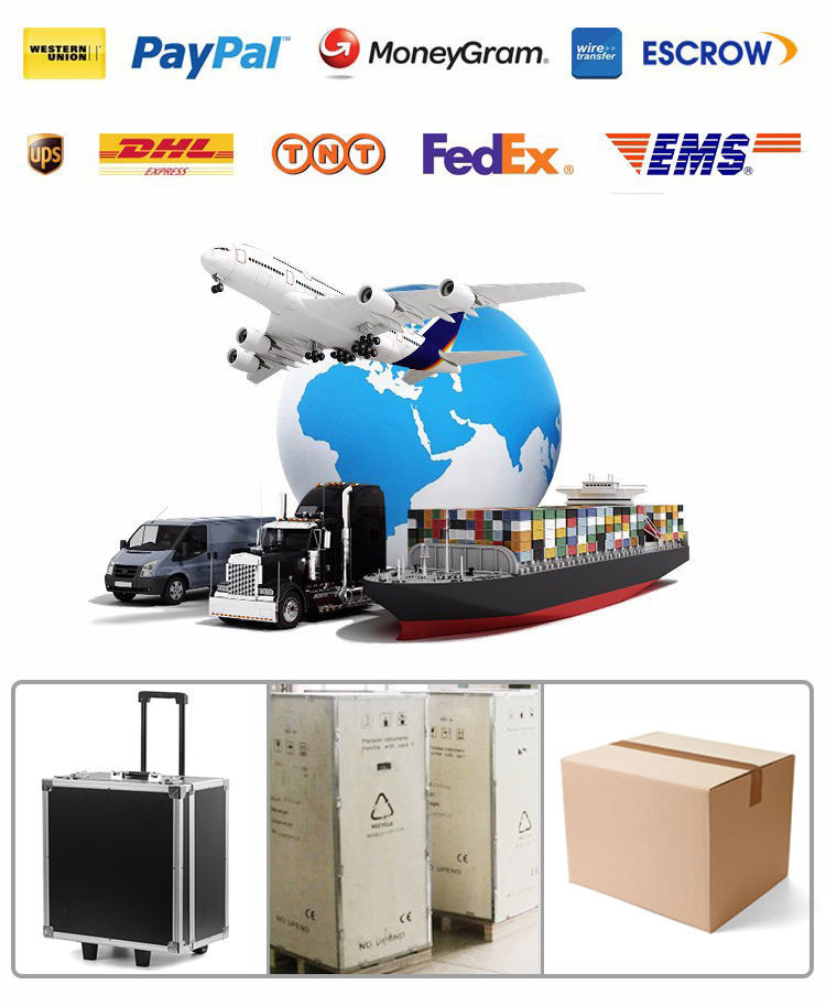 RF Electromagnetic Tesla EMS Professional Body Contouring Machine