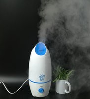 Humanity Design Aromatherapy Oil Diffuser Keep Your Skin Hydrated And Moisturized