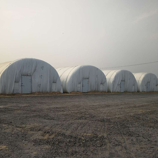 7-10 Meter Width Outdoor Mushroom Greenhouse With Insulating Blanket