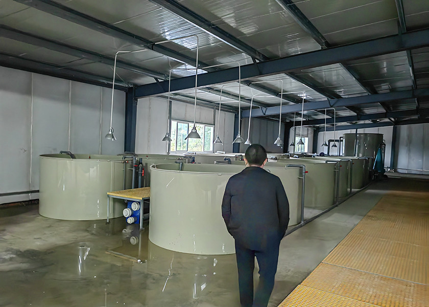 IoT Controlled Recirculating Aquaculture System For High Density Farming