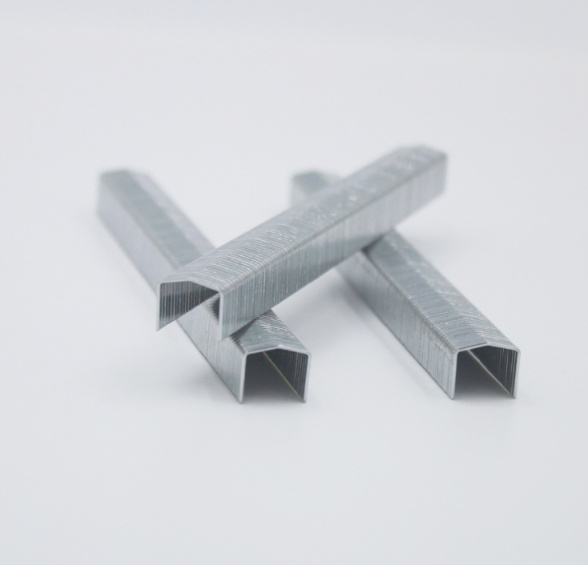 Stcr5019 Series 20 Gauge 11.50mm Crown 6mm Furniture Staple