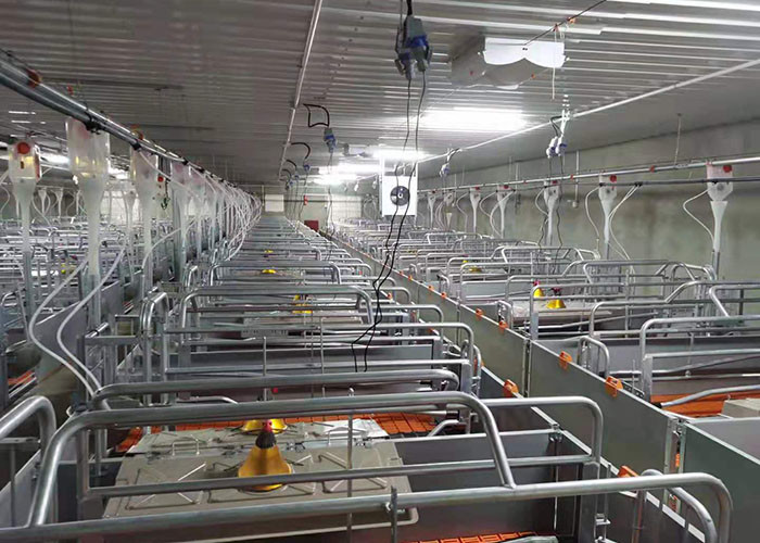 Hot DIP Galvanized Sow Farrowing Crate 1 Inch Tube Swine Farrowing Pen