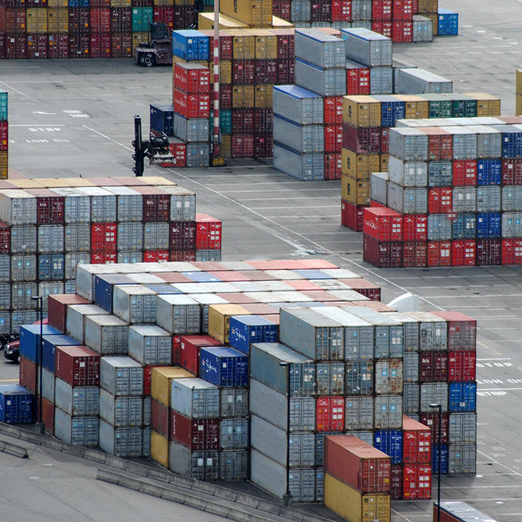 FCL LCL Professional Container International Sea Freight From China For Oversized Cargo