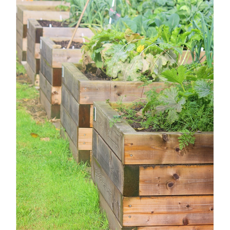 Long-Lasting Black Railway Sleeper Wood Tooth Nail Plate for Secure Connections