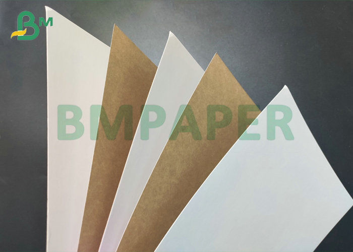 780mm 350gsm Clay Coated White Kraft Back Board For Bread Packing Box 