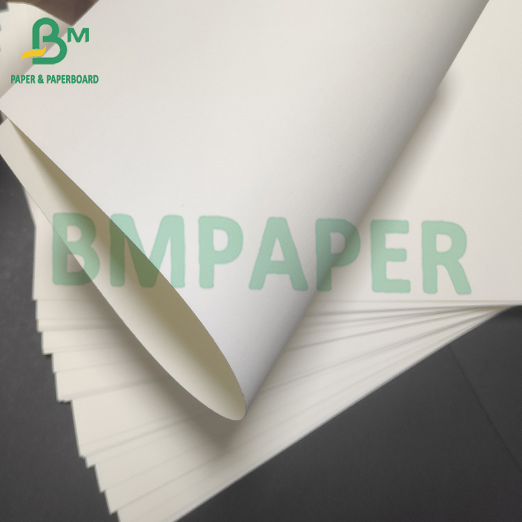 300gsm Compostable Poly Coated White Cardboard Paper For Soup Bowls