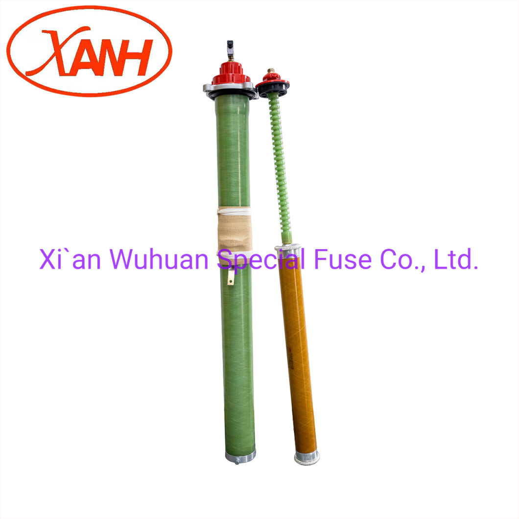 Oil-Immersed Type Transformer Protection High Voltage Limit Current Fuse Back-up Fuse Bay-O-Net Fuse Elsp Fuse Model Cbuc15030c100 Sample Customization