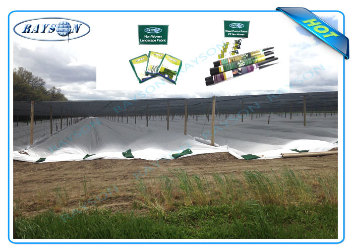 Garden Frost Protection Fleece Pp Spunbond Non Woven Cover Customized
